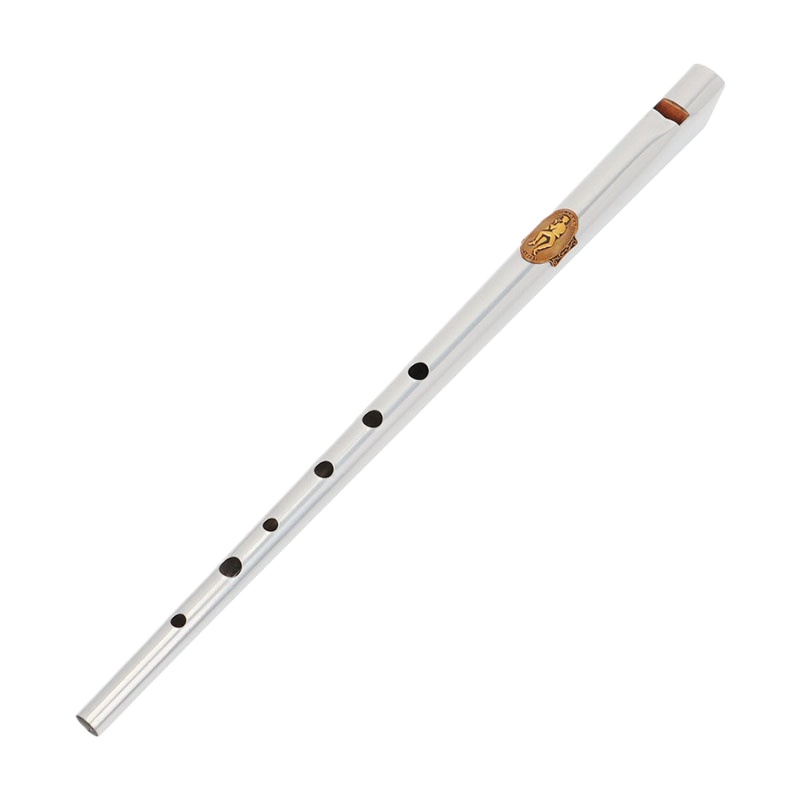 Tin Whistle Flute - D/C Key Tin Whistle Student Anfänger