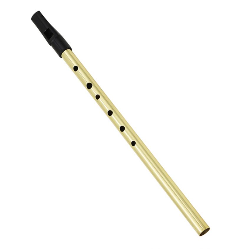 Irish Pfeife Sopran Flöte D To – Tin Whistle Flute Bewertung und Preis