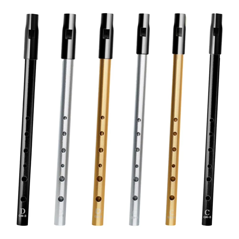 C/D-Stimmung Irische Tin-Whist – Tin Whistle Flute Bewertung und Preis