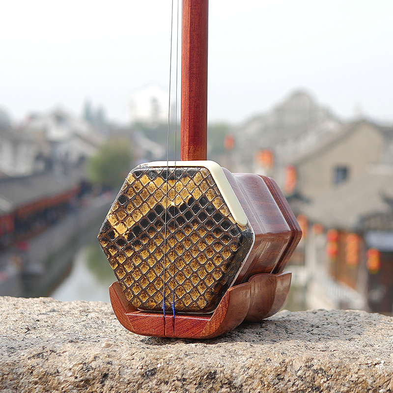 Professionelle Dunhuang Marke  – Musical Instrument All Bewertung und Preis