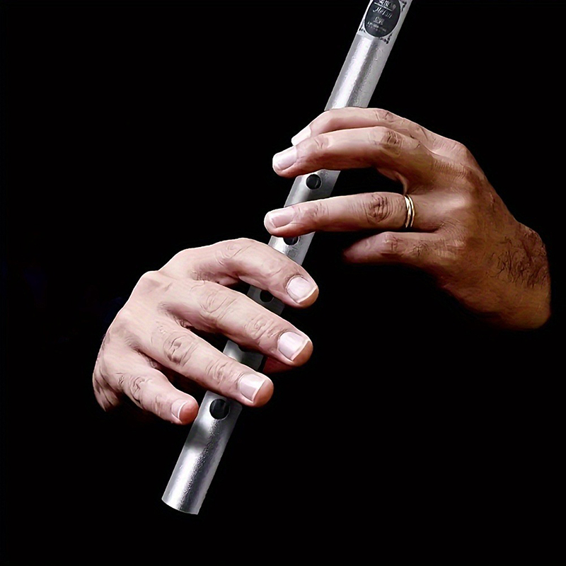 1 STÜCK C/D-Taste Zinn Penny W – Tin Whistle Flute Bewertung und Preis