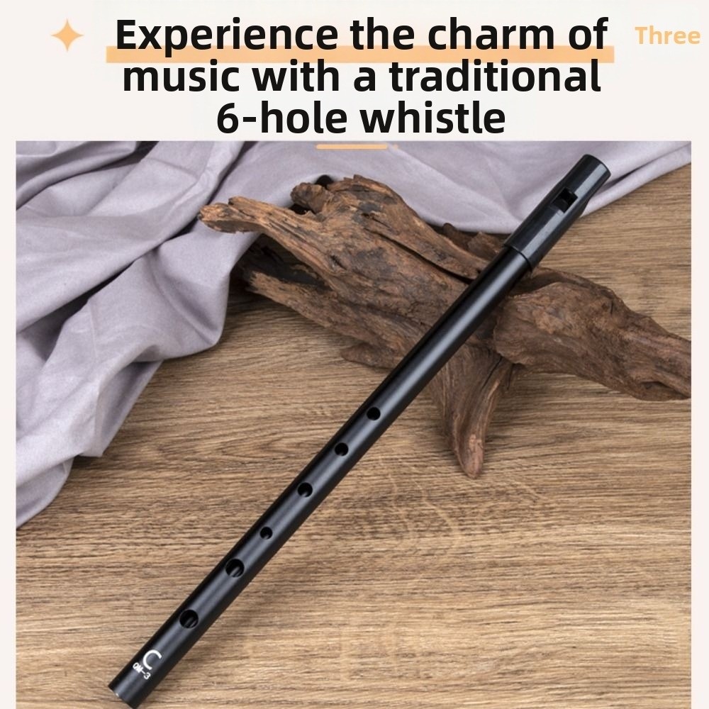6-Loch C/D Irish Whistle Flöte – Tin Whistle Flute Bewertung und Preis