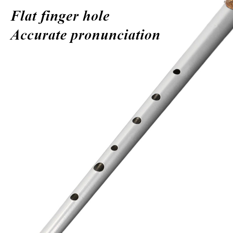 D/C Key Tin Whistle Student An – Tin Whistle Flute Bewertung und Preis