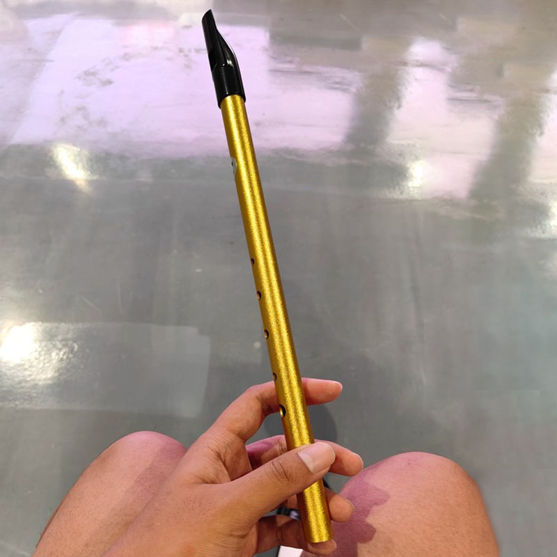 6-Loch Penny Whistle für Schül – Tin Whistle Flute Bewertung und Preis